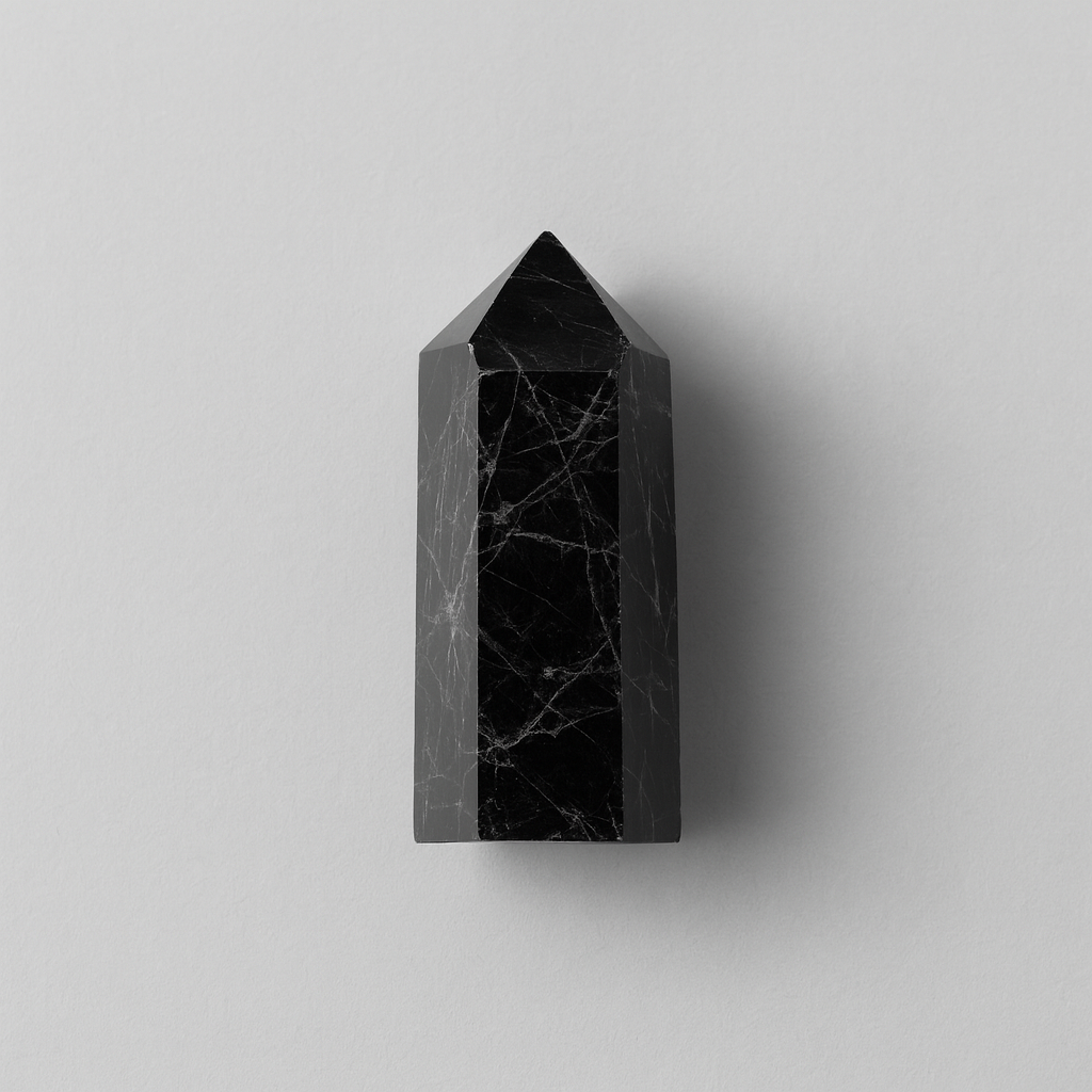 EARTH’S POINT Black Tourmaline — Force Field → Protection, Grounding, Boundaries