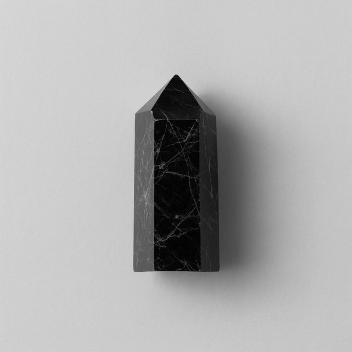 EARTH’S POINT Black Tourmaline — Force Field → Protection, Grounding, Boundaries
